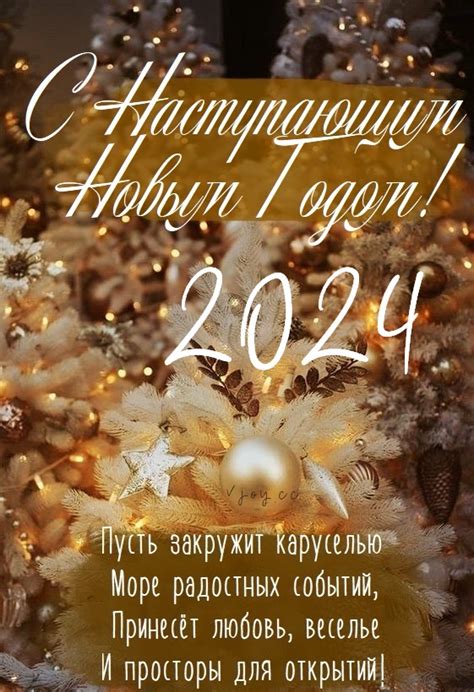 Пушкинская карта - радуемся новому году